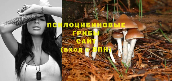 дживик Дубовка