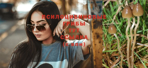 таблы Ельня