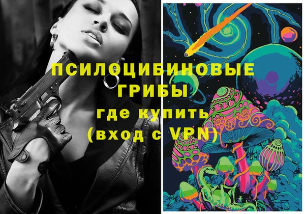 СК Магадан