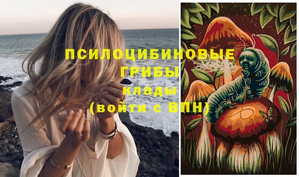 СК Магадан