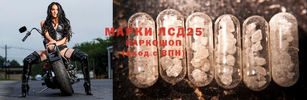 СК Магадан