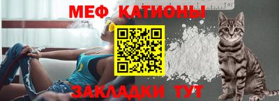 шишки Кингисепп