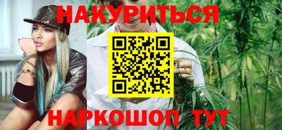 шишки Кингисепп