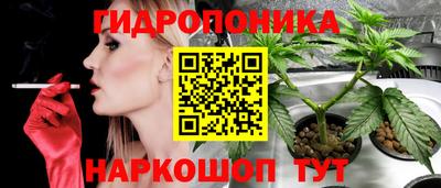 спайс Кинель