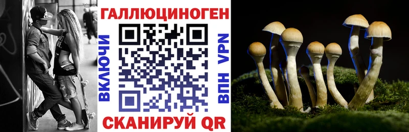 Галлюциногенные грибы прущие грибы  Малоярославец 