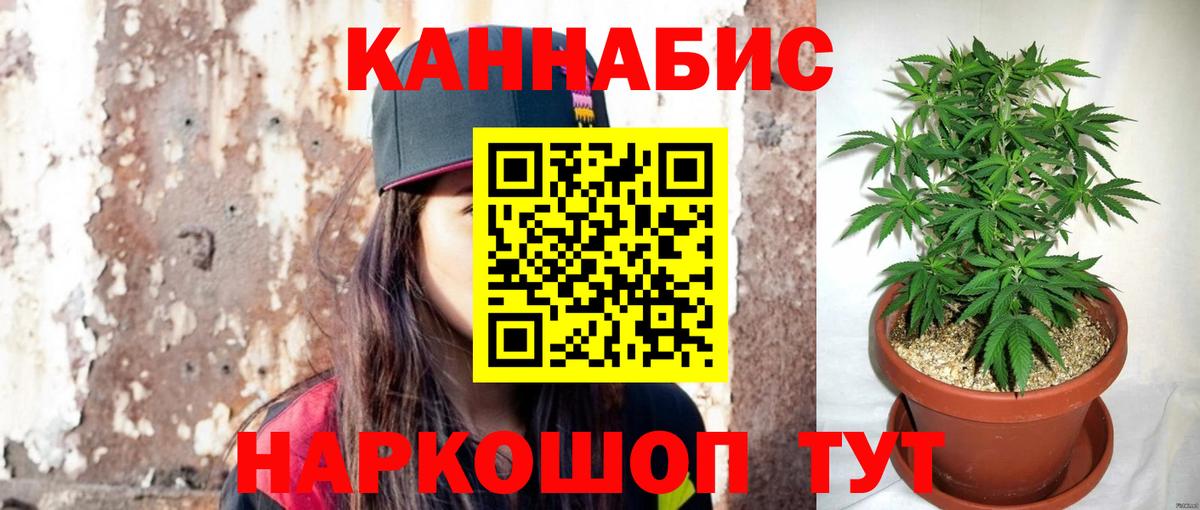 Конопля индика Малоярославец